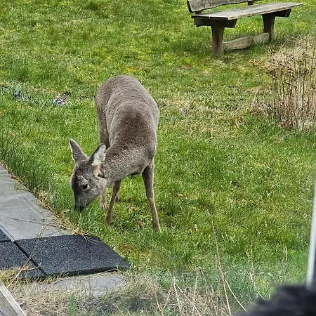 Mannerup - Kaergaard Διαμέρισμα Lejre