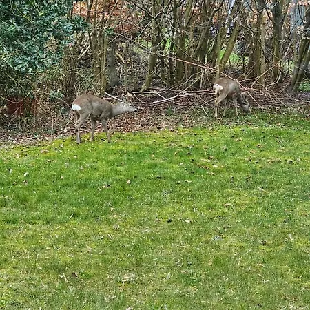 Mannerup - Kaergaard Διαμέρισμα *